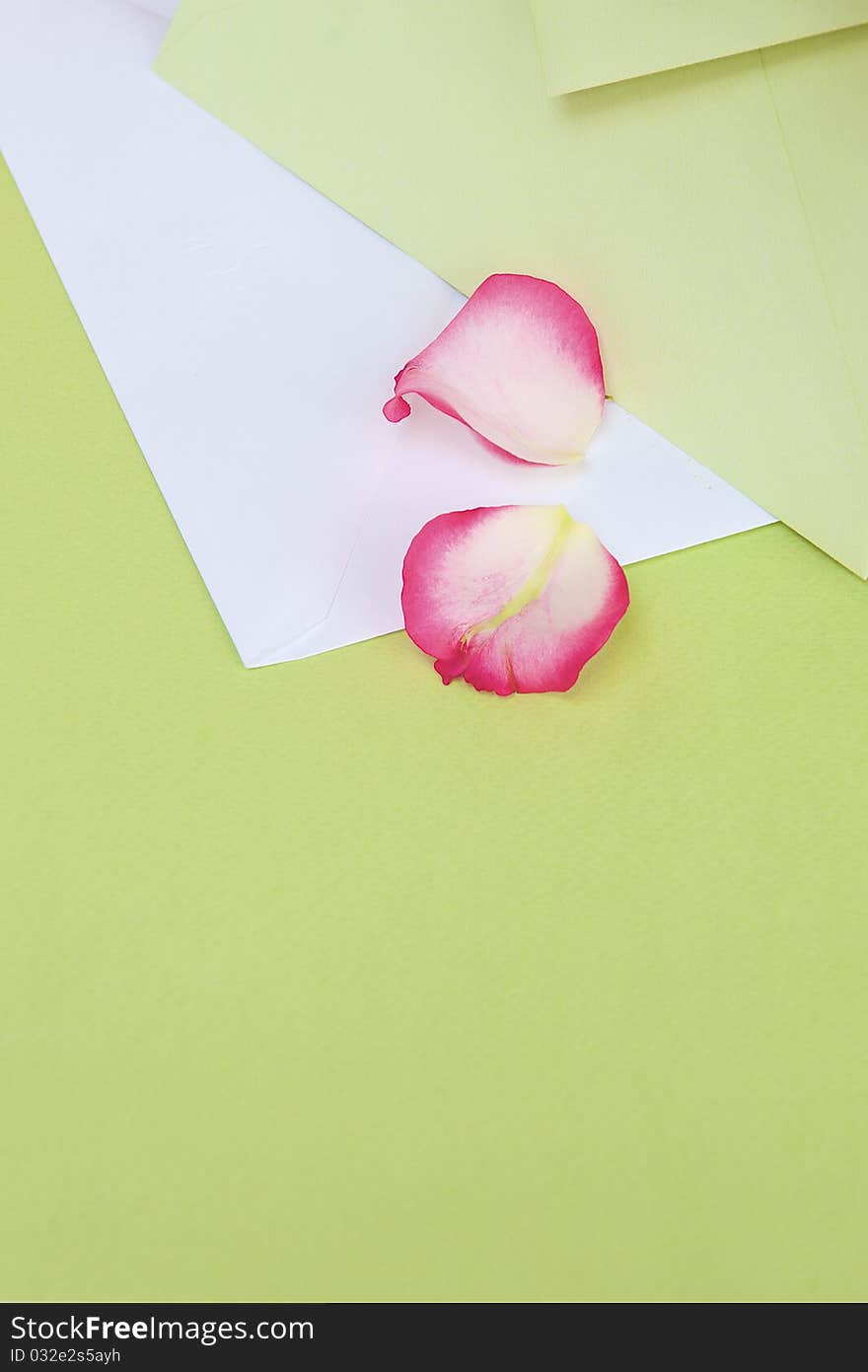 Petals of rose in green paper