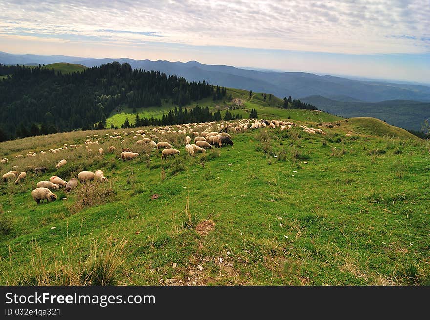 Mountains landscape in Bucegi mountains, Romania