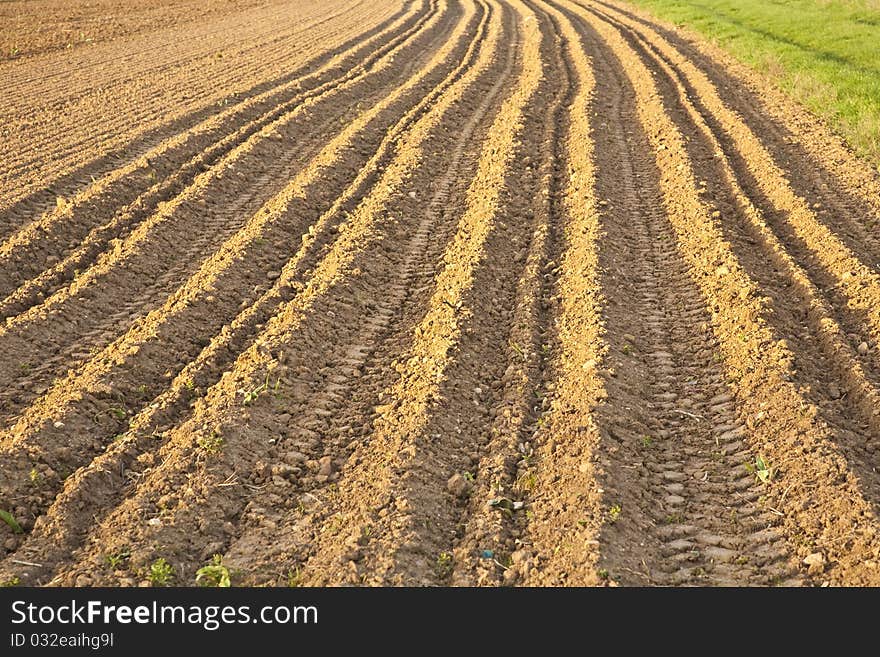 Background of newly plowed field