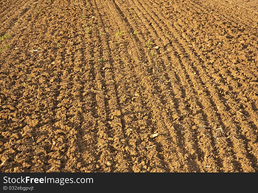 Background of newly plowed field