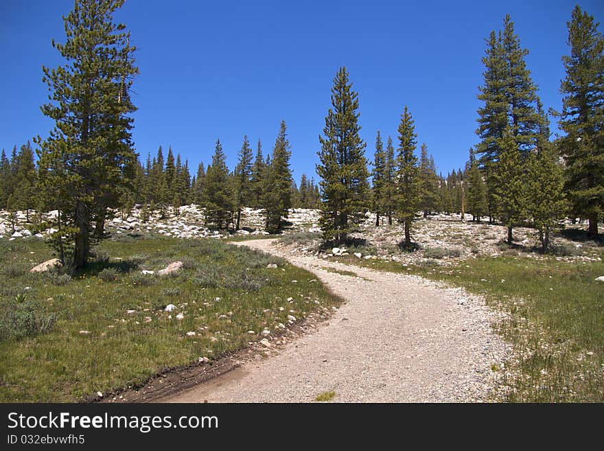 Soda Springs, Yosemite NP