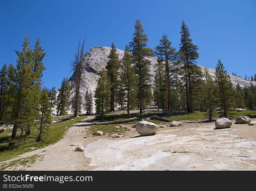 Yosemite NP