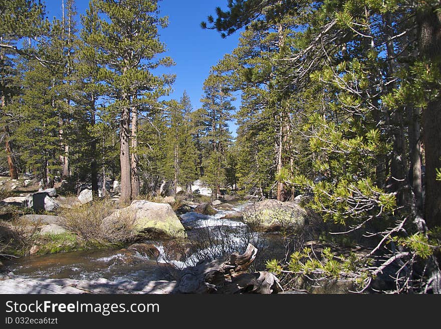 River near Tuolomne Meadows, Yosemite National Park, CA. River near Tuolomne Meadows, Yosemite National Park, CA