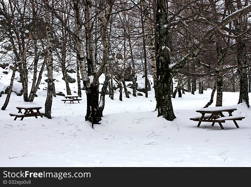 Picturesque winter scene of Snow on wooden benches at the park. Picturesque winter scene of Snow on wooden benches at the park