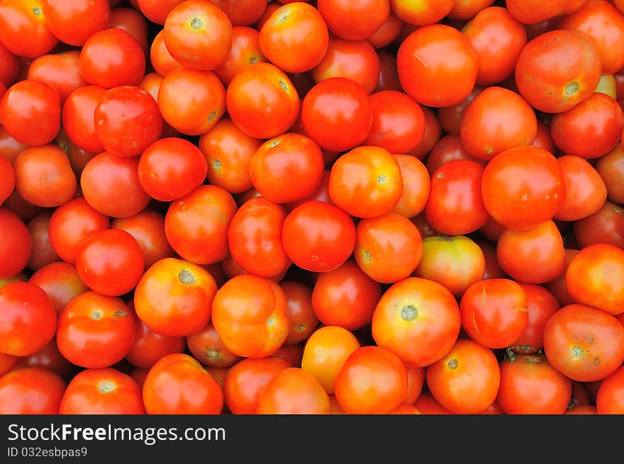 Group of red tomatoes background.