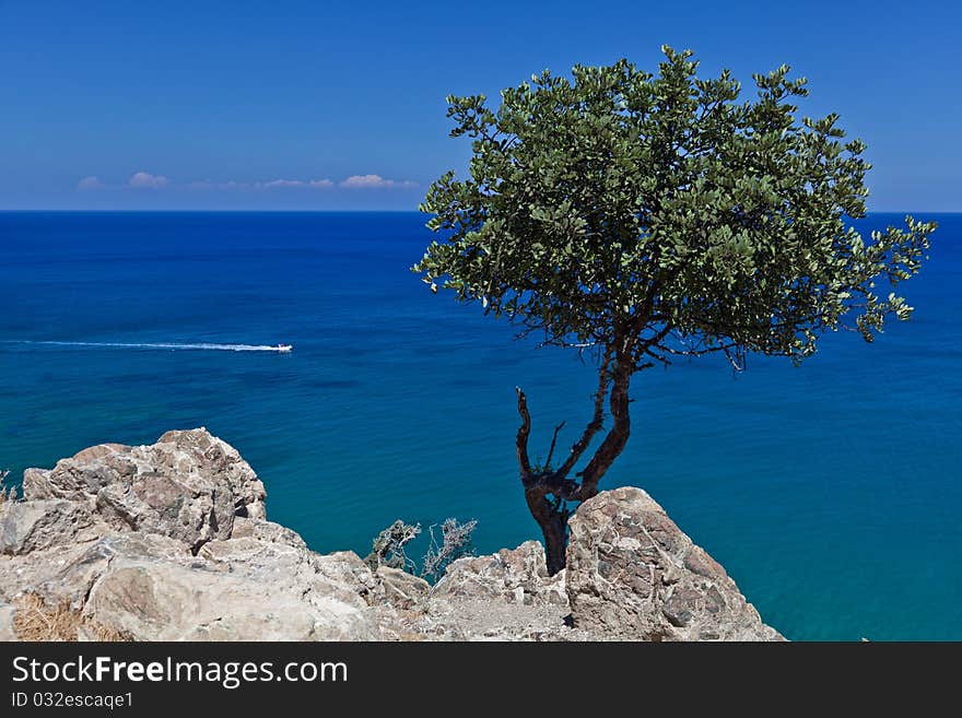 A View Of A Seascape