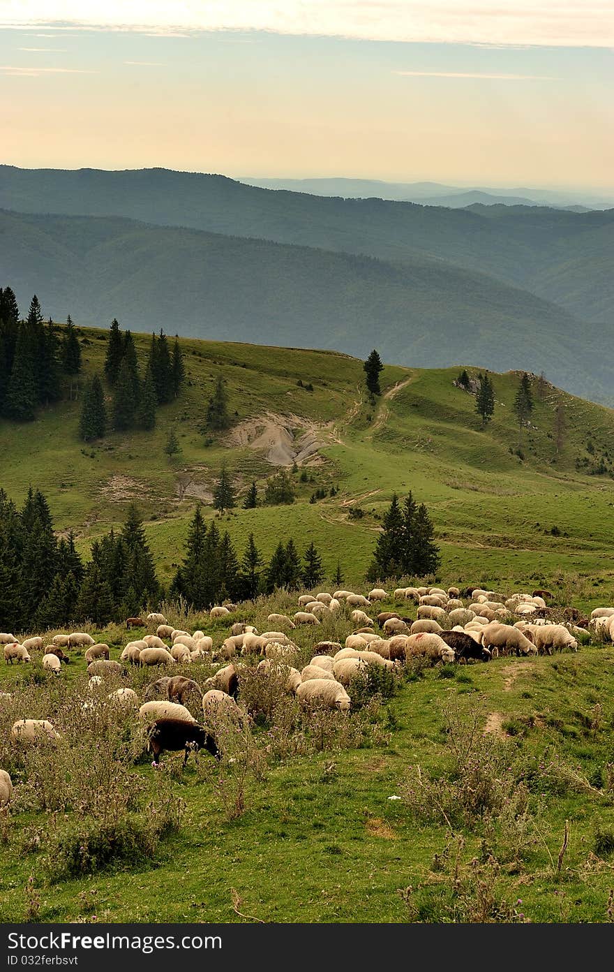 Mountains landscape in Bucegi mountains, Romania