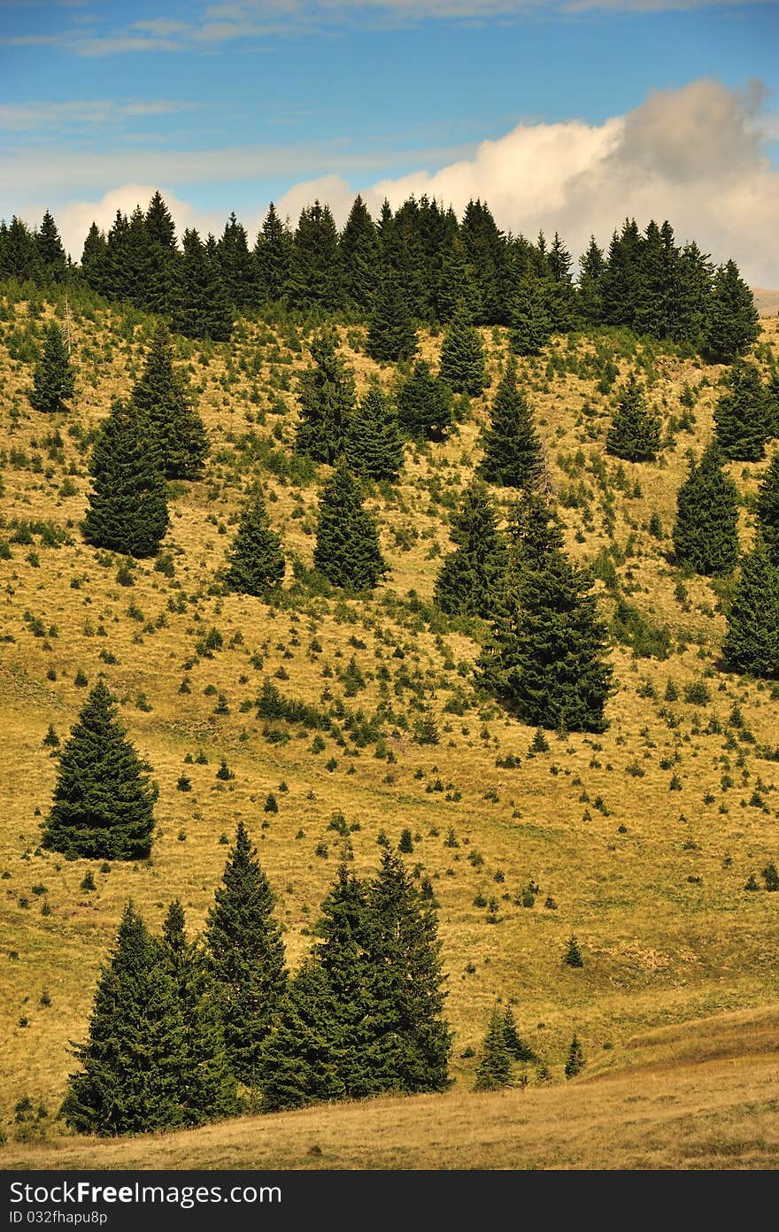 Mountains landscape in Bucegi mountains, Romania