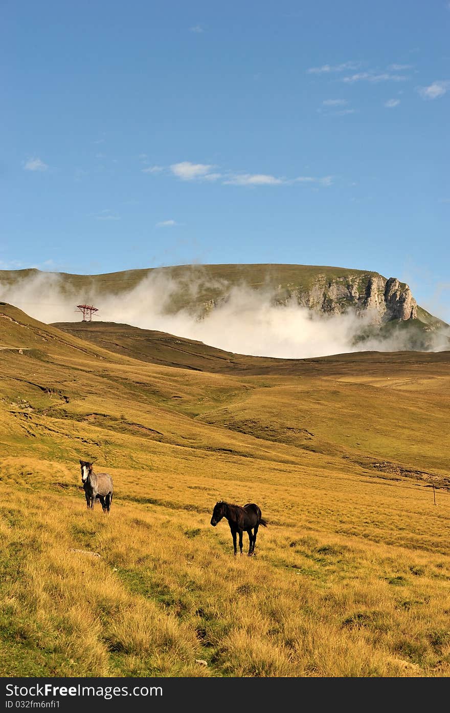 Mountains landscape in Bucegi mountains, Romania