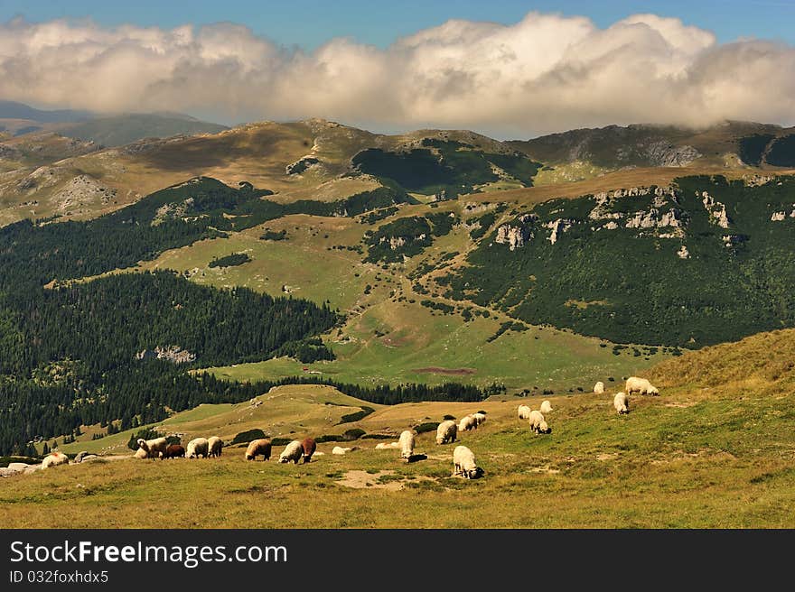 Mountains landscape in Bucegi mountains, Romania