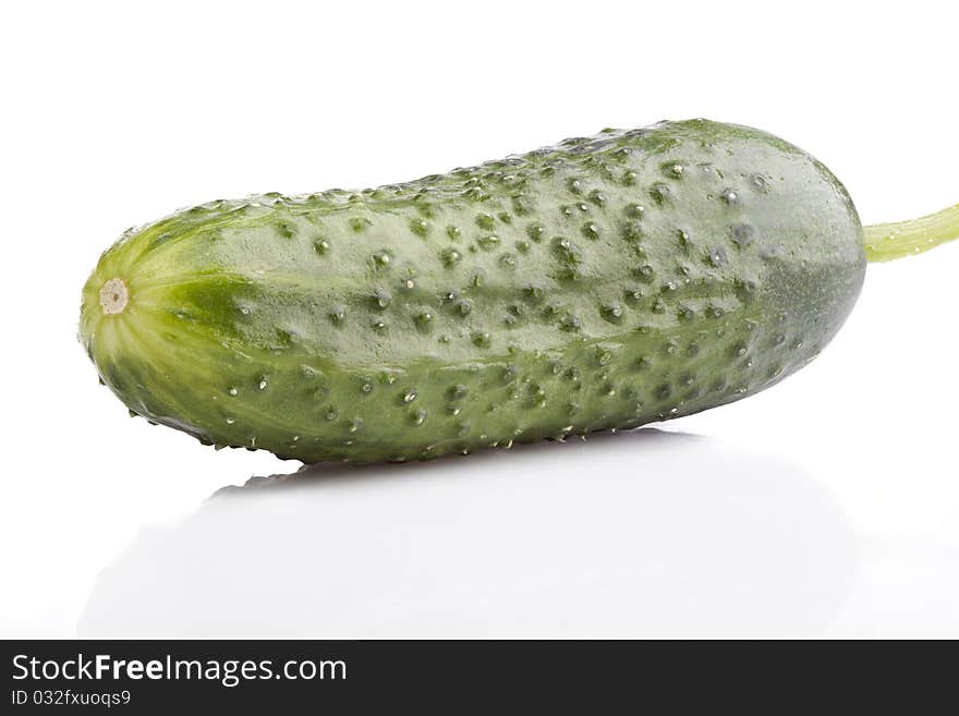 Cucumber  on white background.