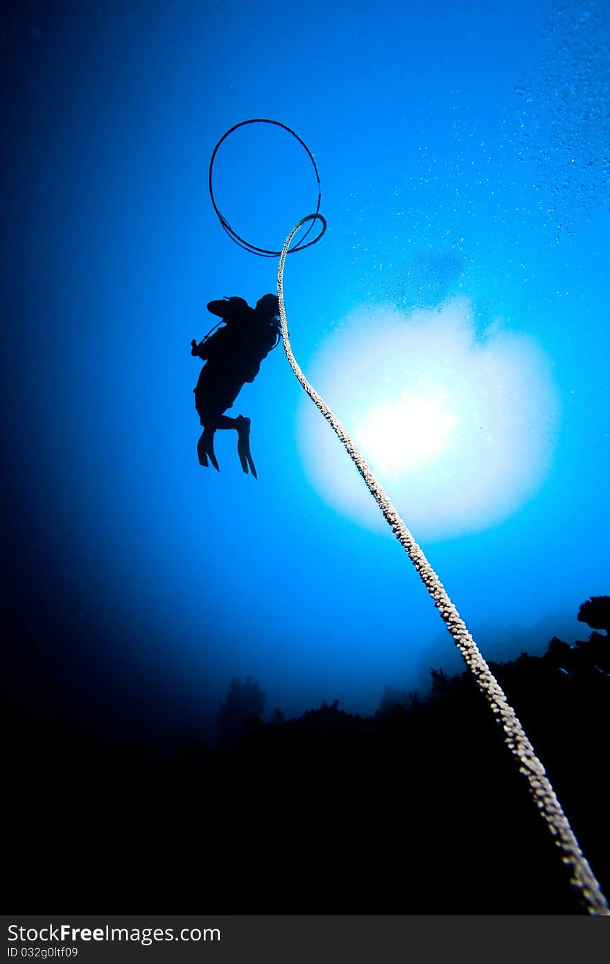 Woman diver's silhouette over the sun