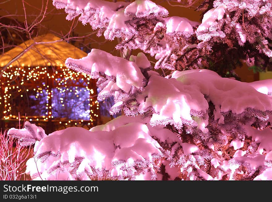 Christmas tree in pink lightining