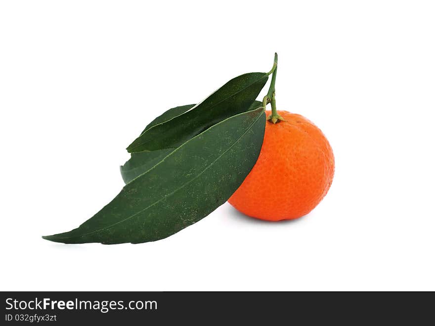 Tangerin with leaves on white background