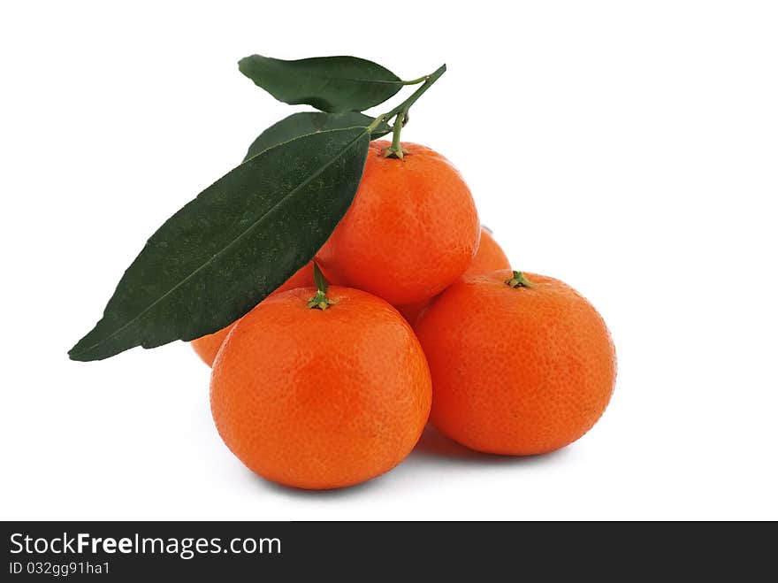 Tangerines with leaves on white background