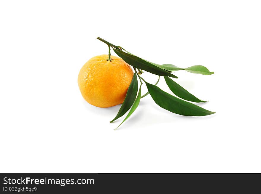 The tangerine is isolated on a white background