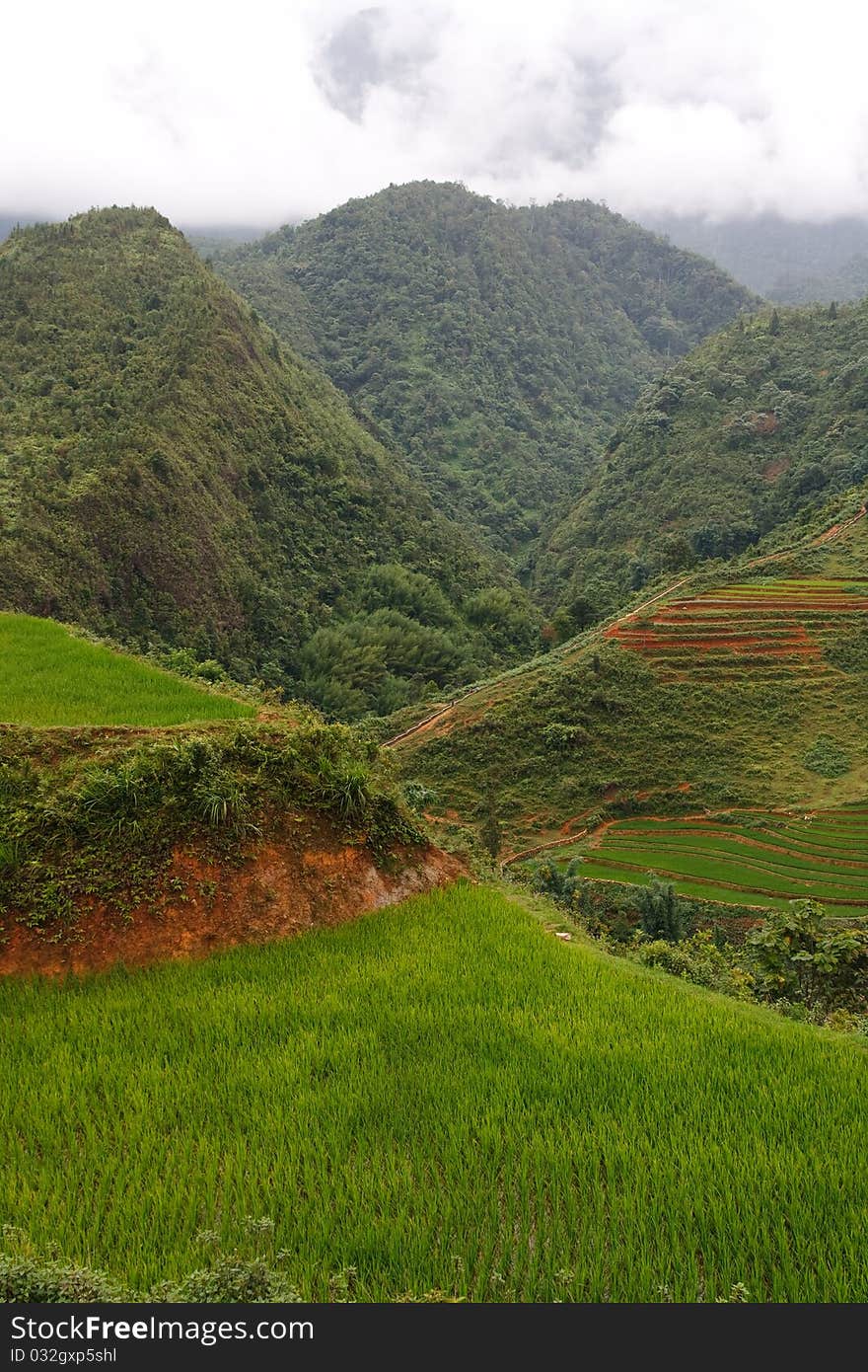 Sapa Highlands