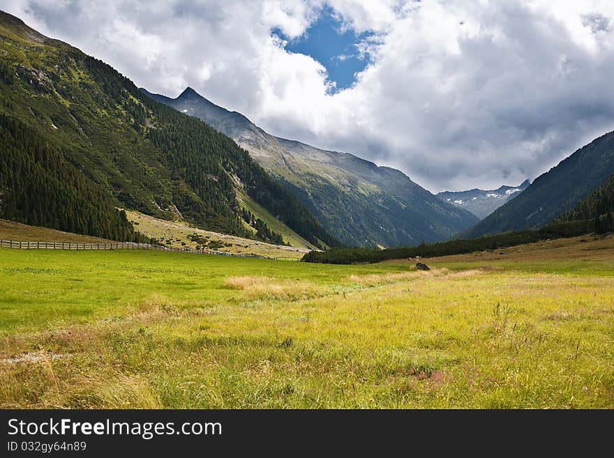 Alps mountains meadows, Austria, Hohe Tauern park.