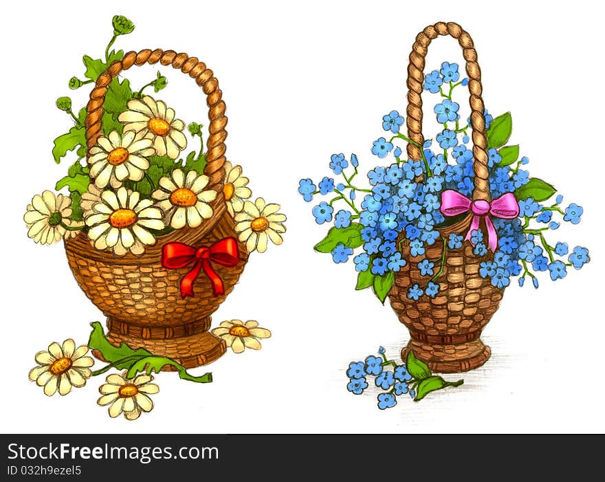 Illustrations of flowers