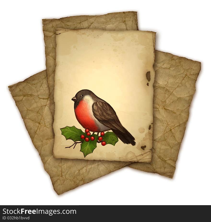 Christmas greeting card with drawing of bullfinch and holly