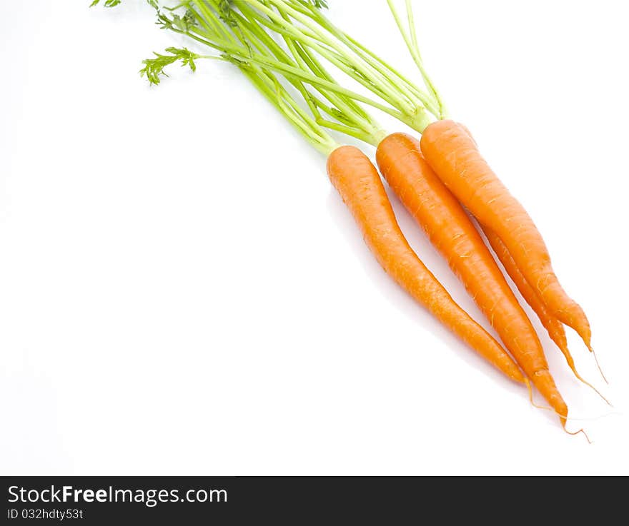 Close up of an organic bunch of carrots, isolated on white background.