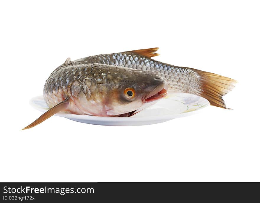 Raw fish isolated on white background