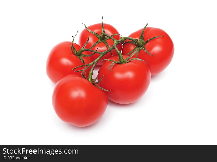 Red tomatos on the white background. Red tomatos on the white background