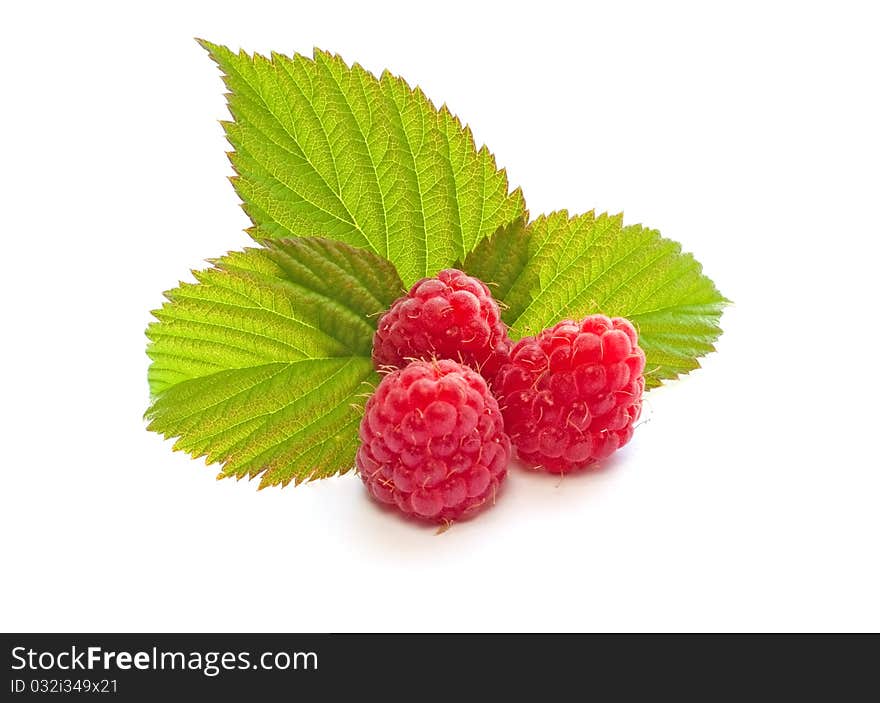 Big juicy raspberries on a white background. Big juicy raspberries on a white background