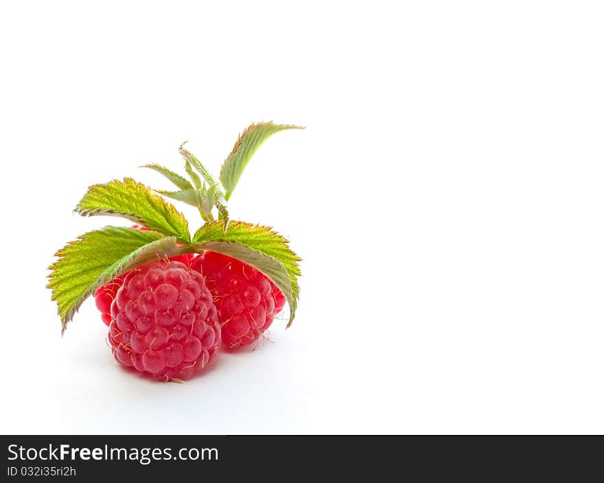 Big juicy raspberries on a white background. Big juicy raspberries on a white background