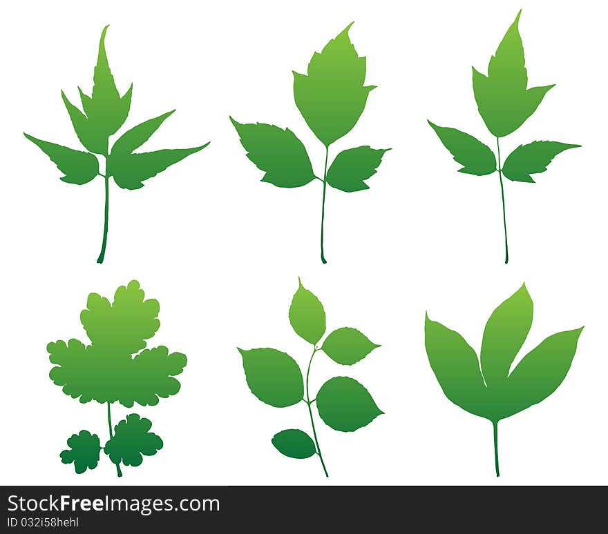 Leaves silhouettes set for design format. Leaves silhouettes set for design format.