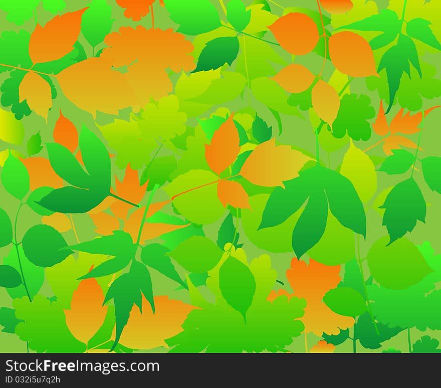 Leaves abstract background .