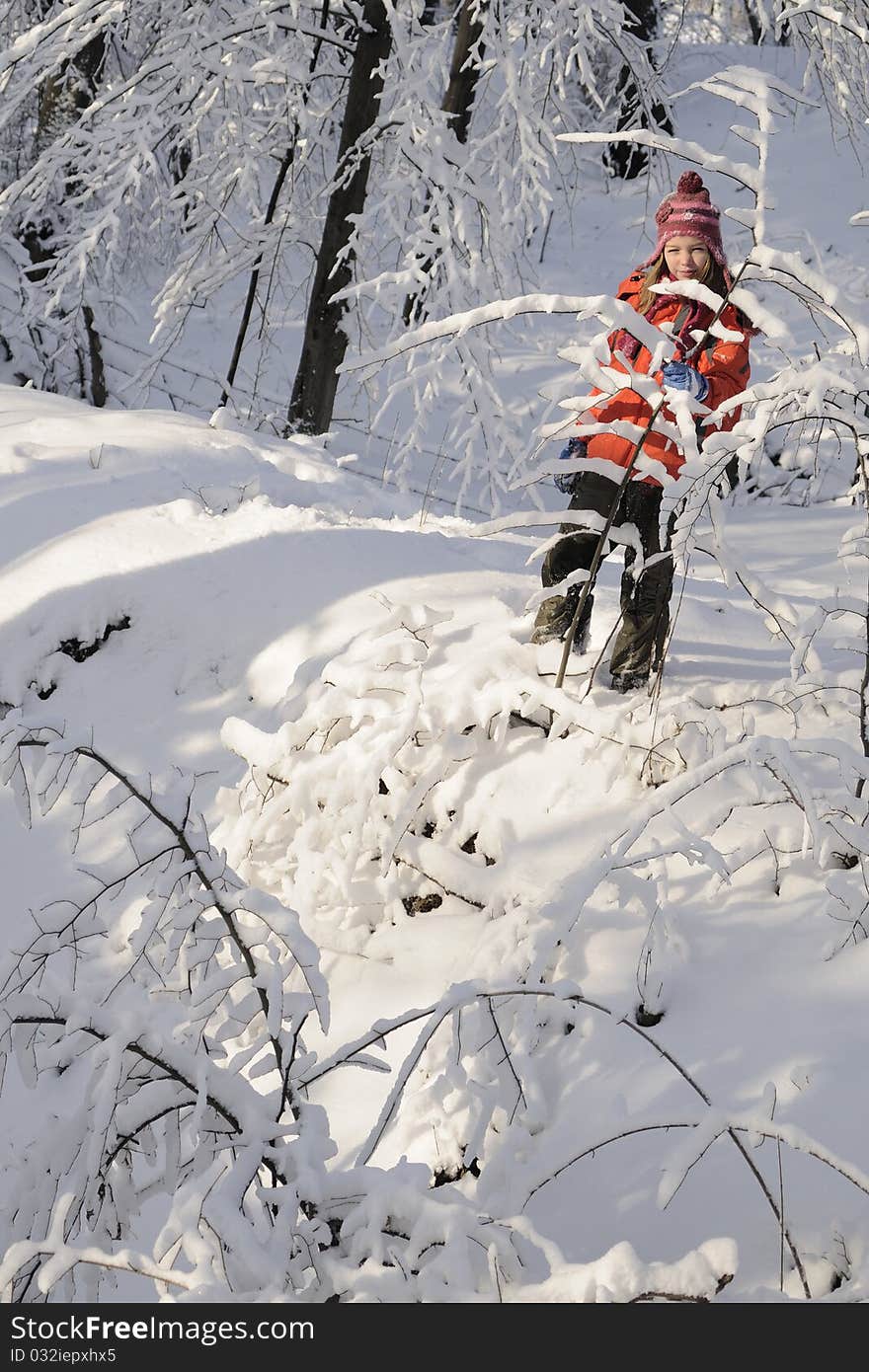 Child having fun with snow from branches in winter season. Child having fun with snow from branches in winter season