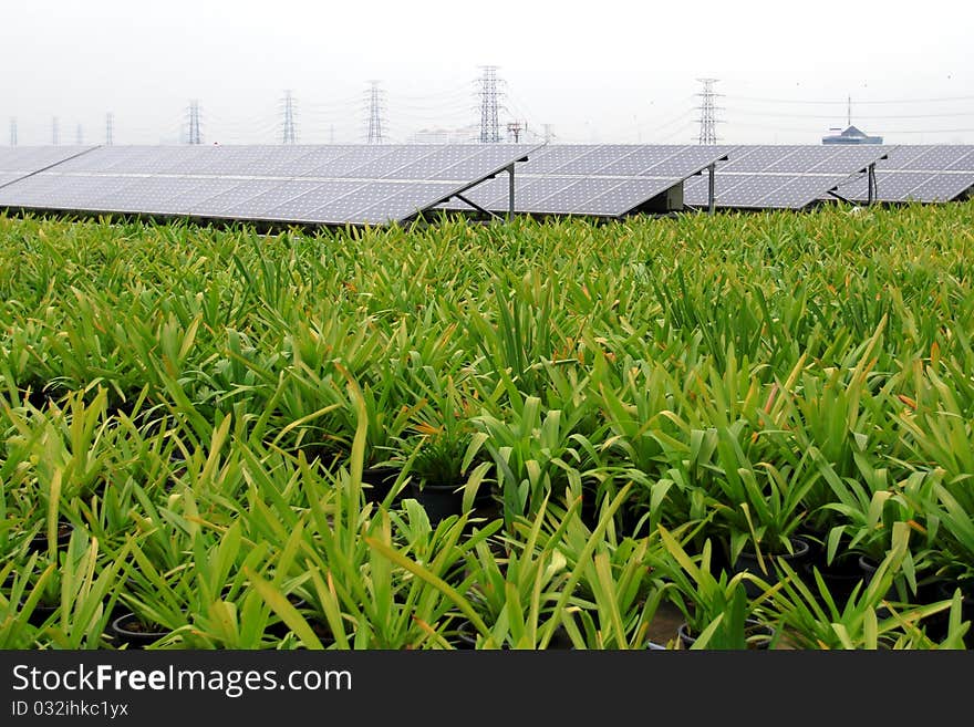 Solar cell and green garden