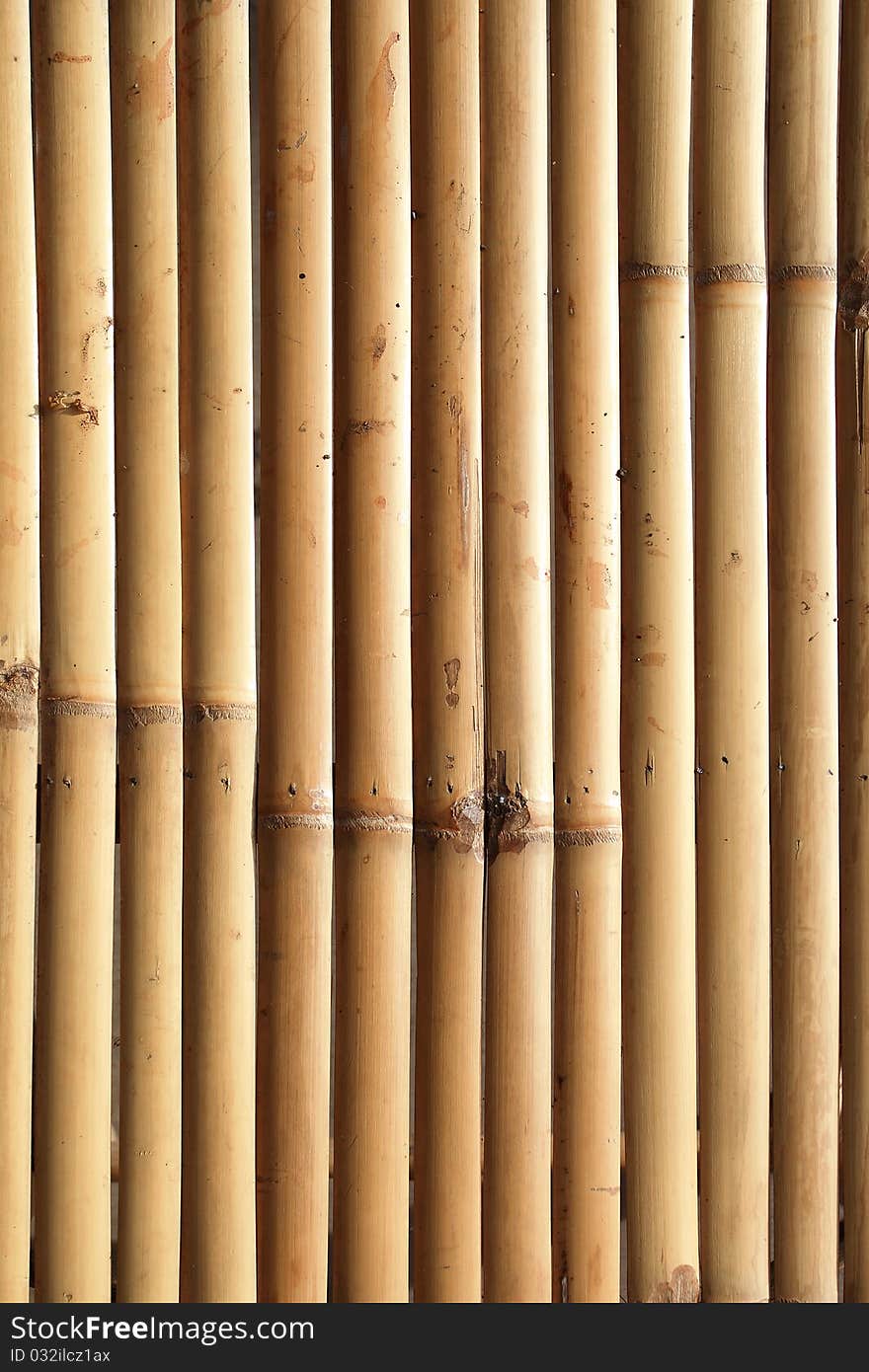 Bamboo  Background