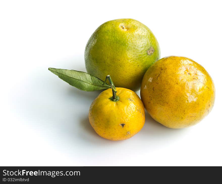 Group of different size oranges isolated on white