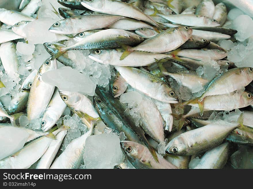 Fresh Fish In Market