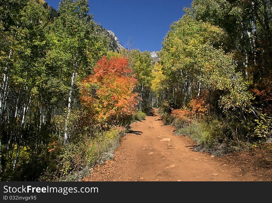 Rocky Mountains in the fall with blue sky. Rocky Mountains in the fall with blue sky