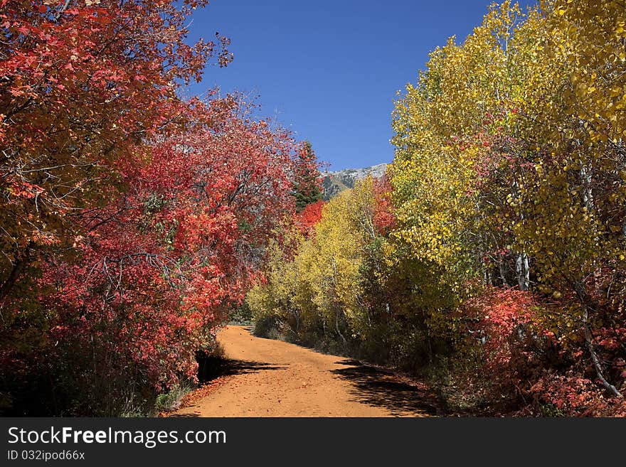 Rocky Mountains in the fall with blue sky. Rocky Mountains in the fall with blue sky