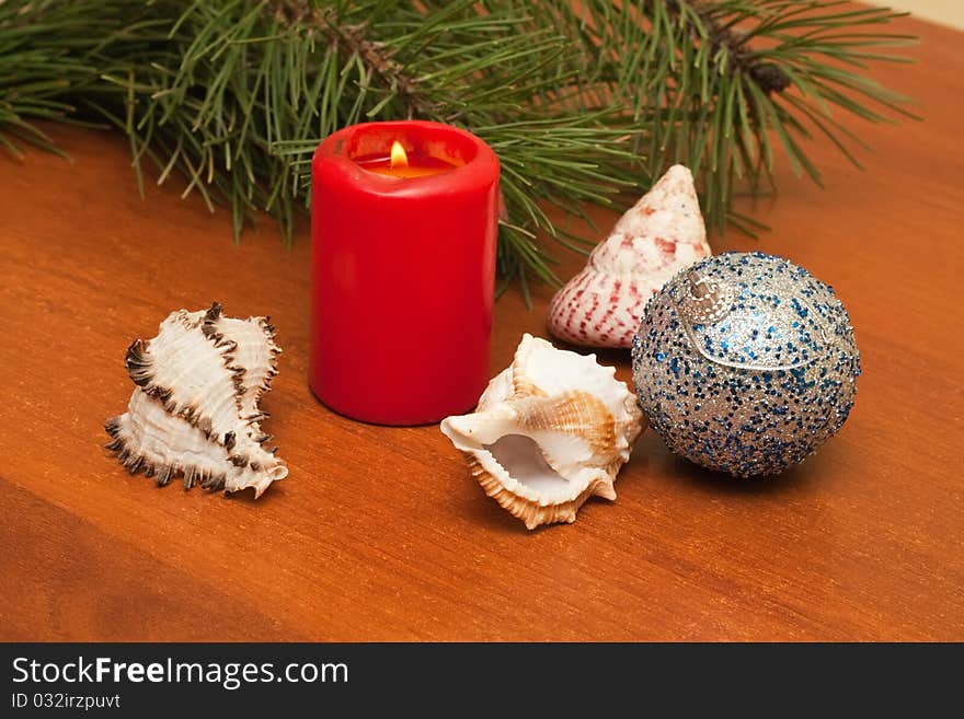 Christmas decorations with candles and sea shells. Christmas decorations with candles and sea shells