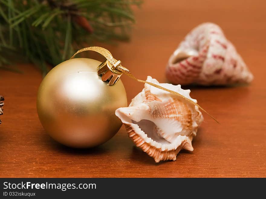 Christmas decorations and toy with sea shells