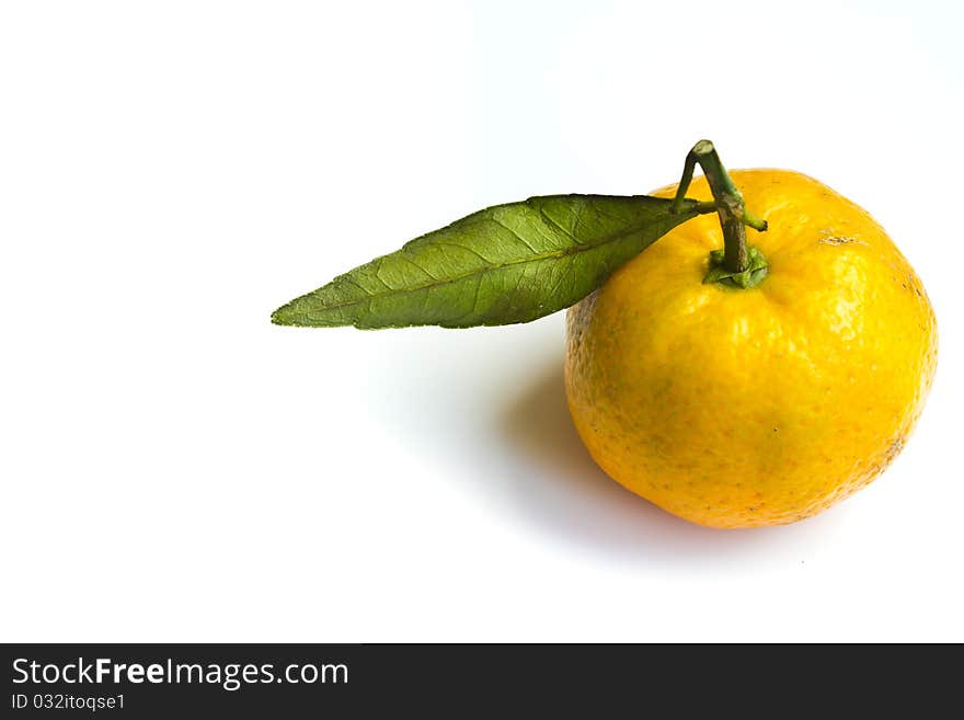 Small size of yellow orange kind isolated on white background