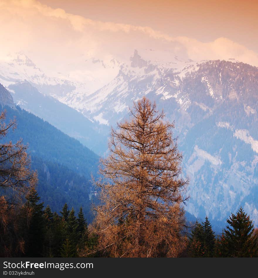 Spring alps mountains scene background