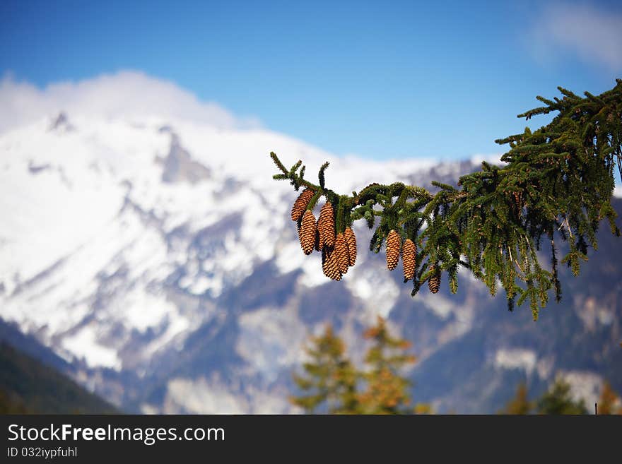 Spring alps mountains scene background