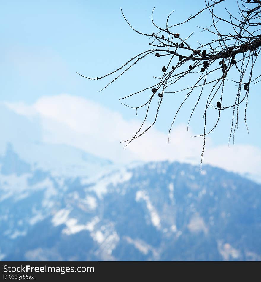 Spring alps mountains scene background