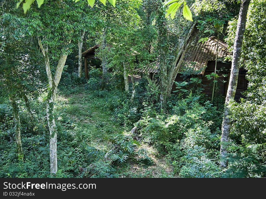 Wooden house in the Brazilian Atlantic rainforest, northwest of Parana State. Wooden house in the Brazilian Atlantic rainforest, northwest of Parana State.