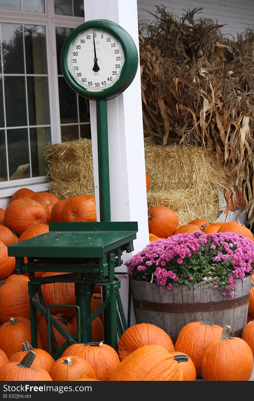 Pumpkin Time at the Market