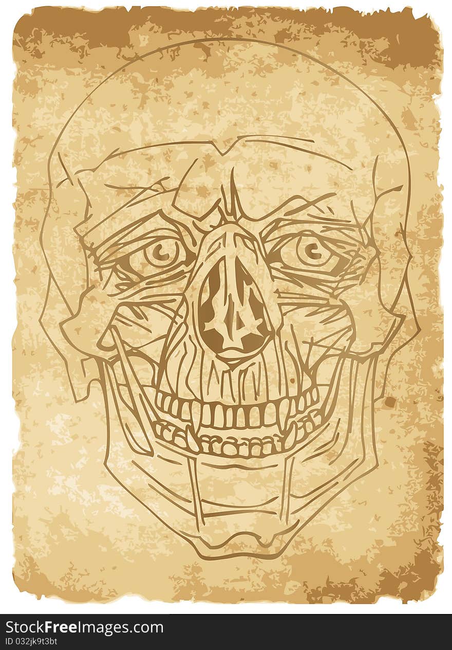 Illustration of skull on old paper