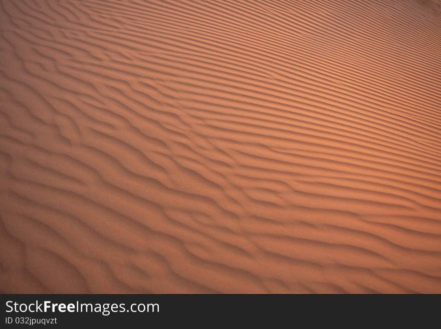 The sand dunes in the eastern desert