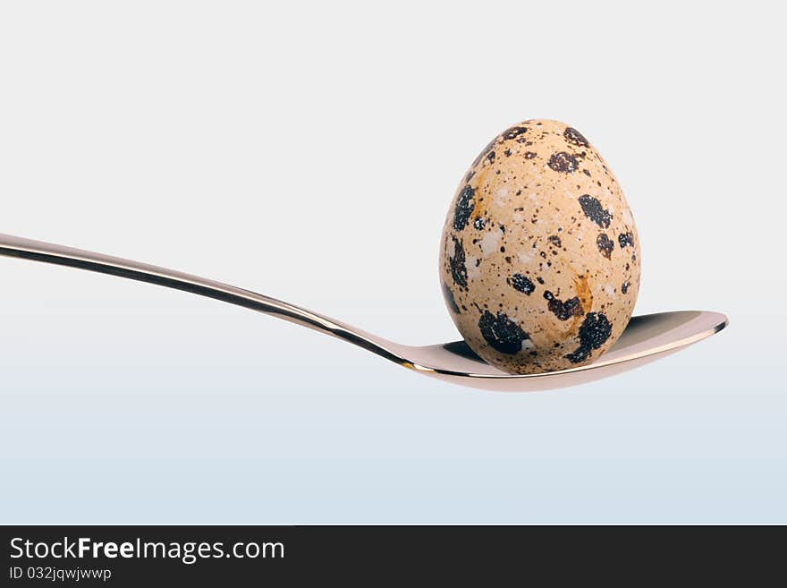 Egg in the spoon