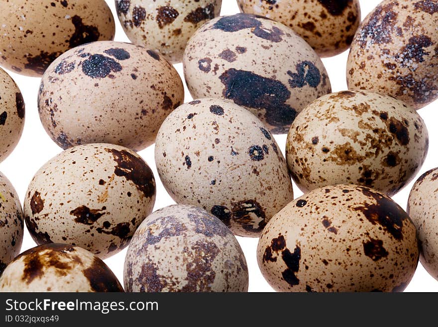 Quail eggs close-up on light background.